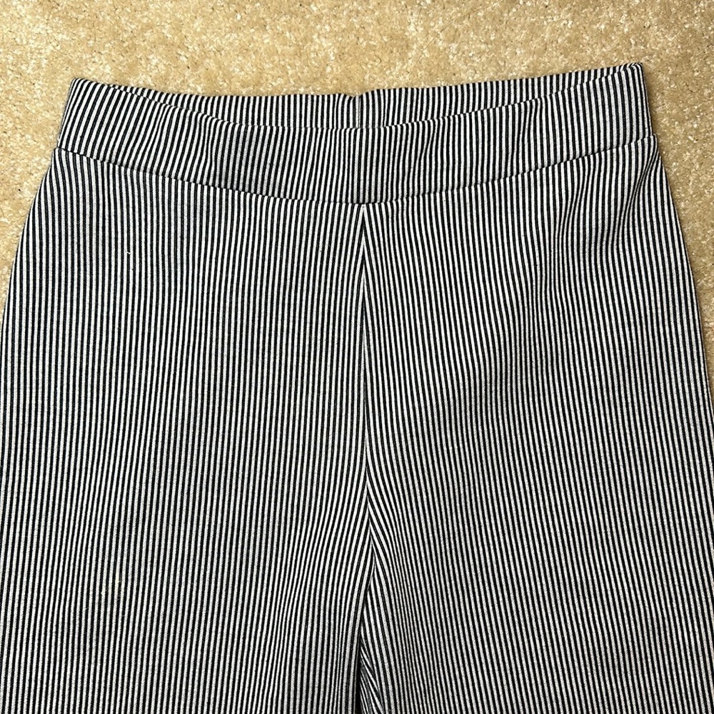 Zara Flare pants